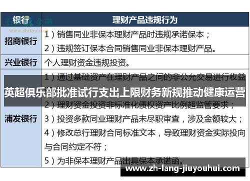 英超俱乐部批准试行支出上限财务新规推动健康运营